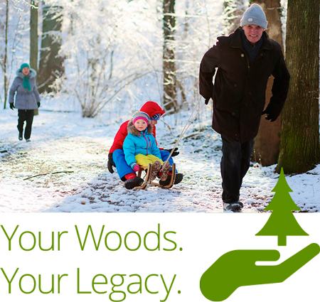Your Woods Your Legacy Photo